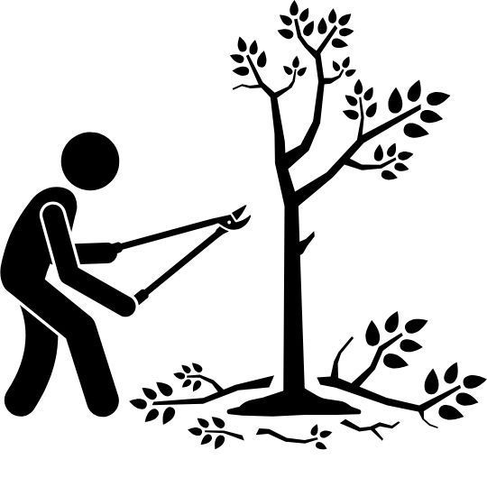 An icon of a stick figure pruning a tree with pruning shears.