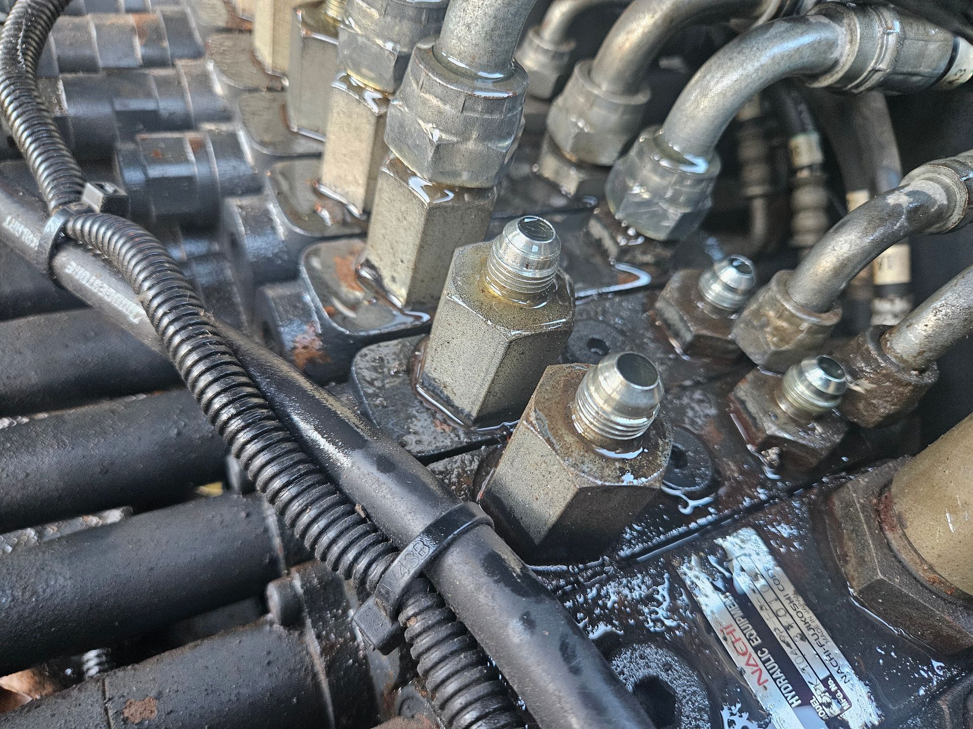 Chrome Engine Bay With a Polished V8 — Cap Coast Maintenance In Alton Downs, QLD