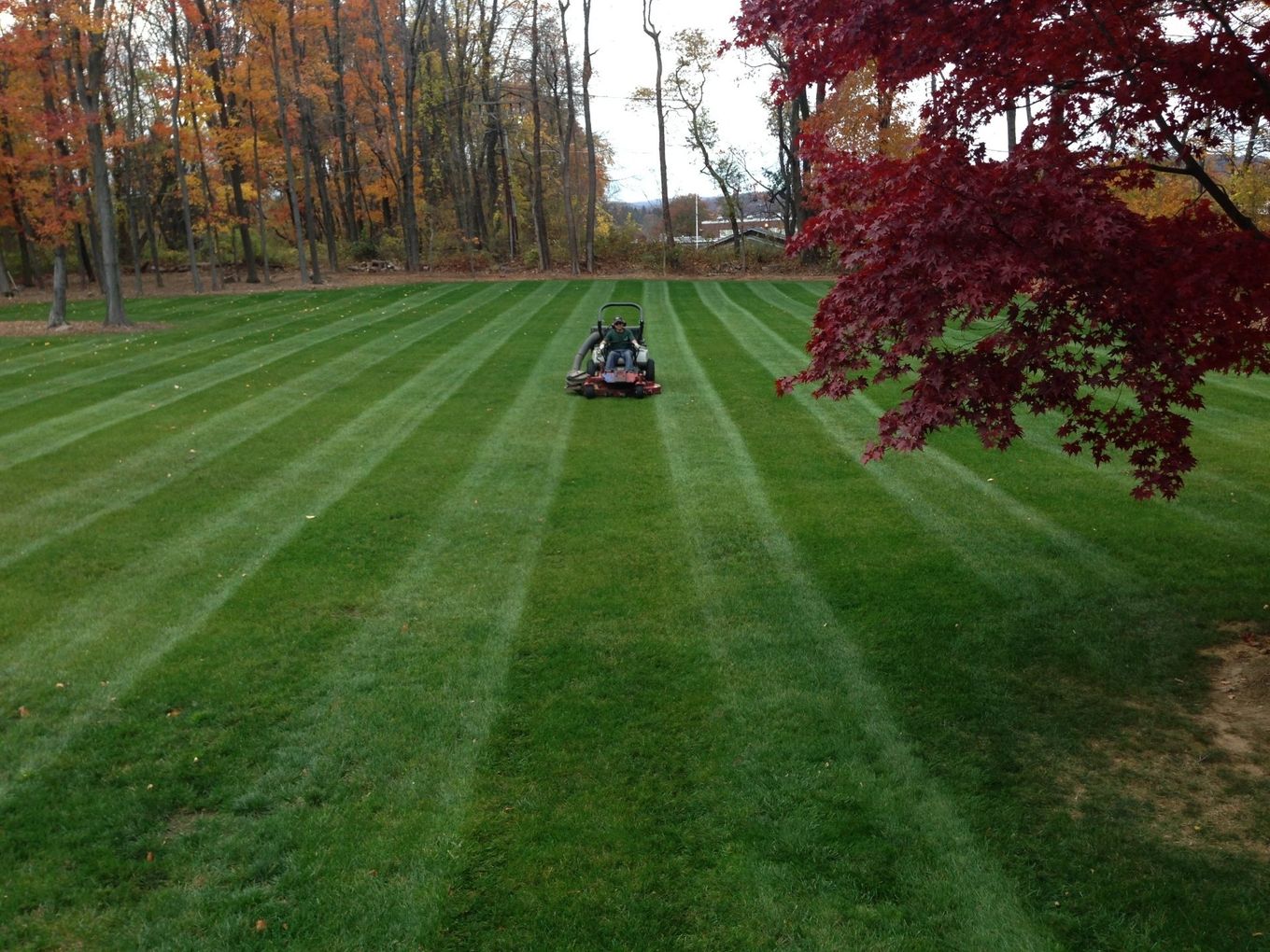 Landscape Design in Chatham Township, NJ Cashman Landscape Management