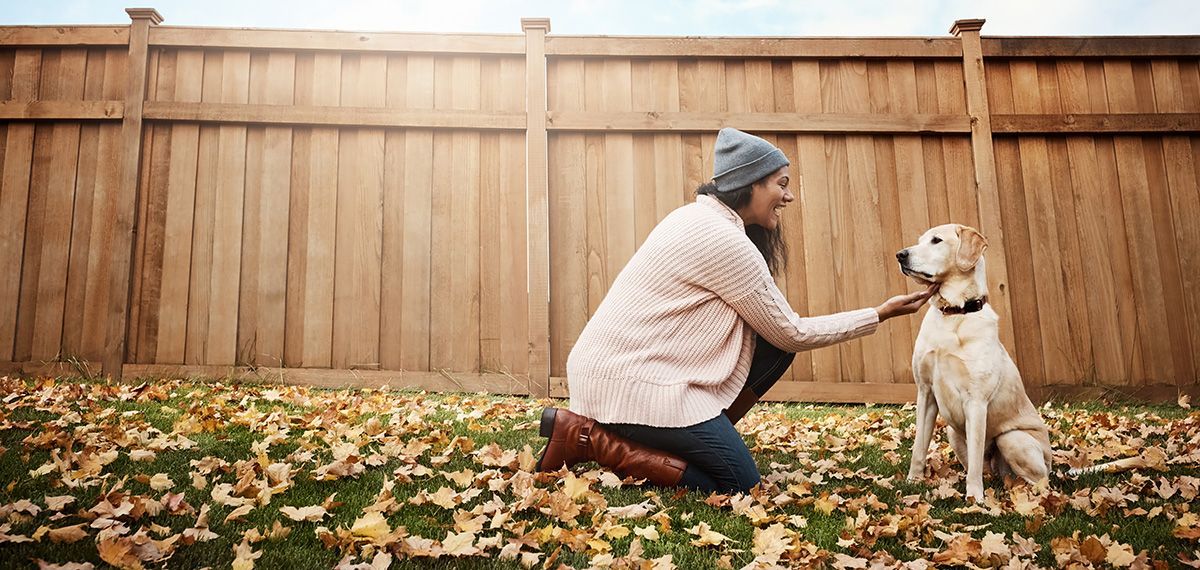 A woman is petting a dog in front of a wooden fence.