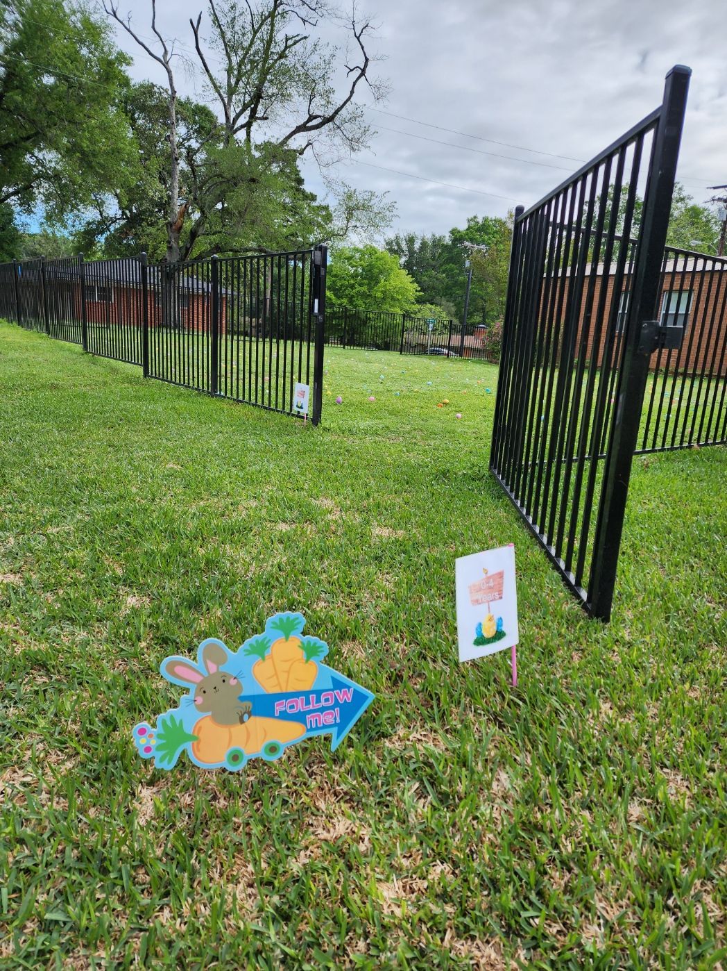 A green grassy area with a black fence and two directional signs for an event with a rabbit graphic, under a cloudy sky.