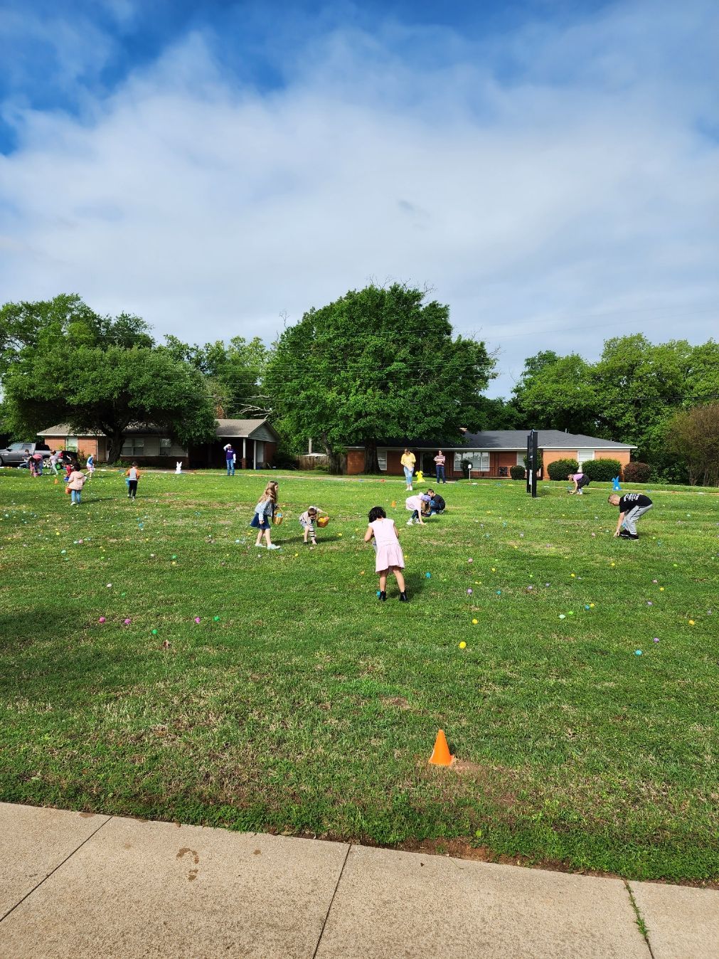 Children search for something in a grassy field. A few buildings and trees are in the background.