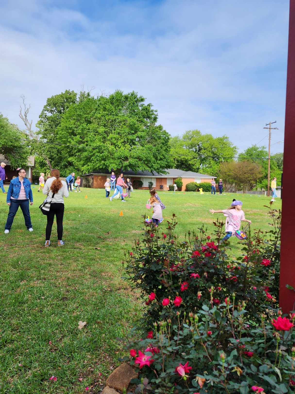 People hunting for Easter eggs in a grassy yard, with a building and trees in the background. Roses in the foreground.