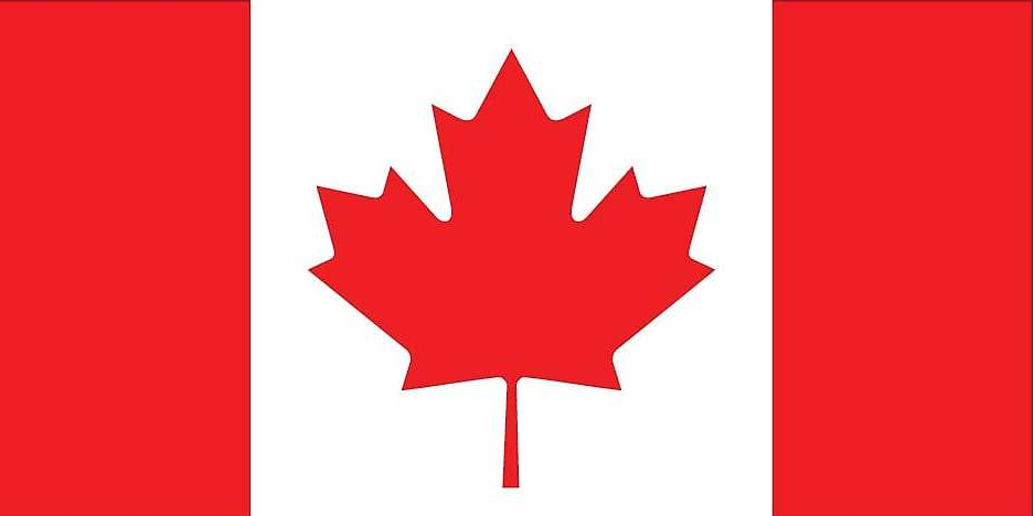 Flowerpot Marketing  Mississauga Toronto Oakville SEO Search Engine Optimization Logo Design Canada Flag