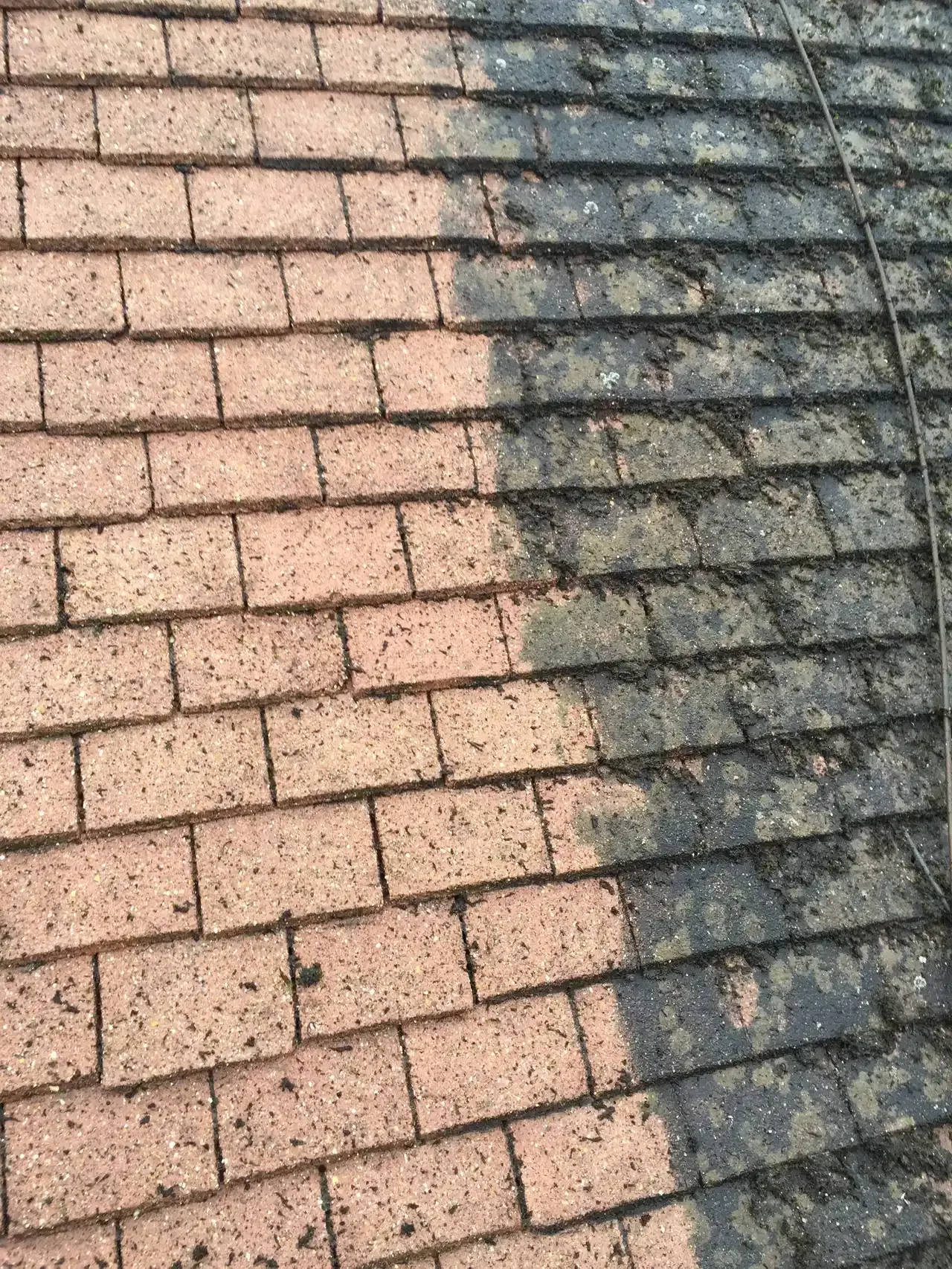 Roof with moss and debris cleaned on the left, showing original color.