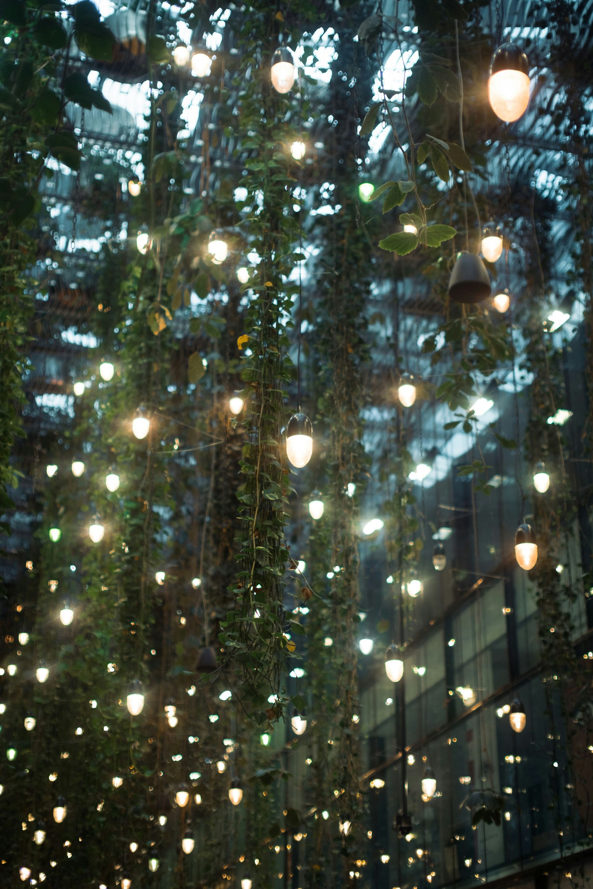 A bunch of lights are hanging from the ceiling of a building