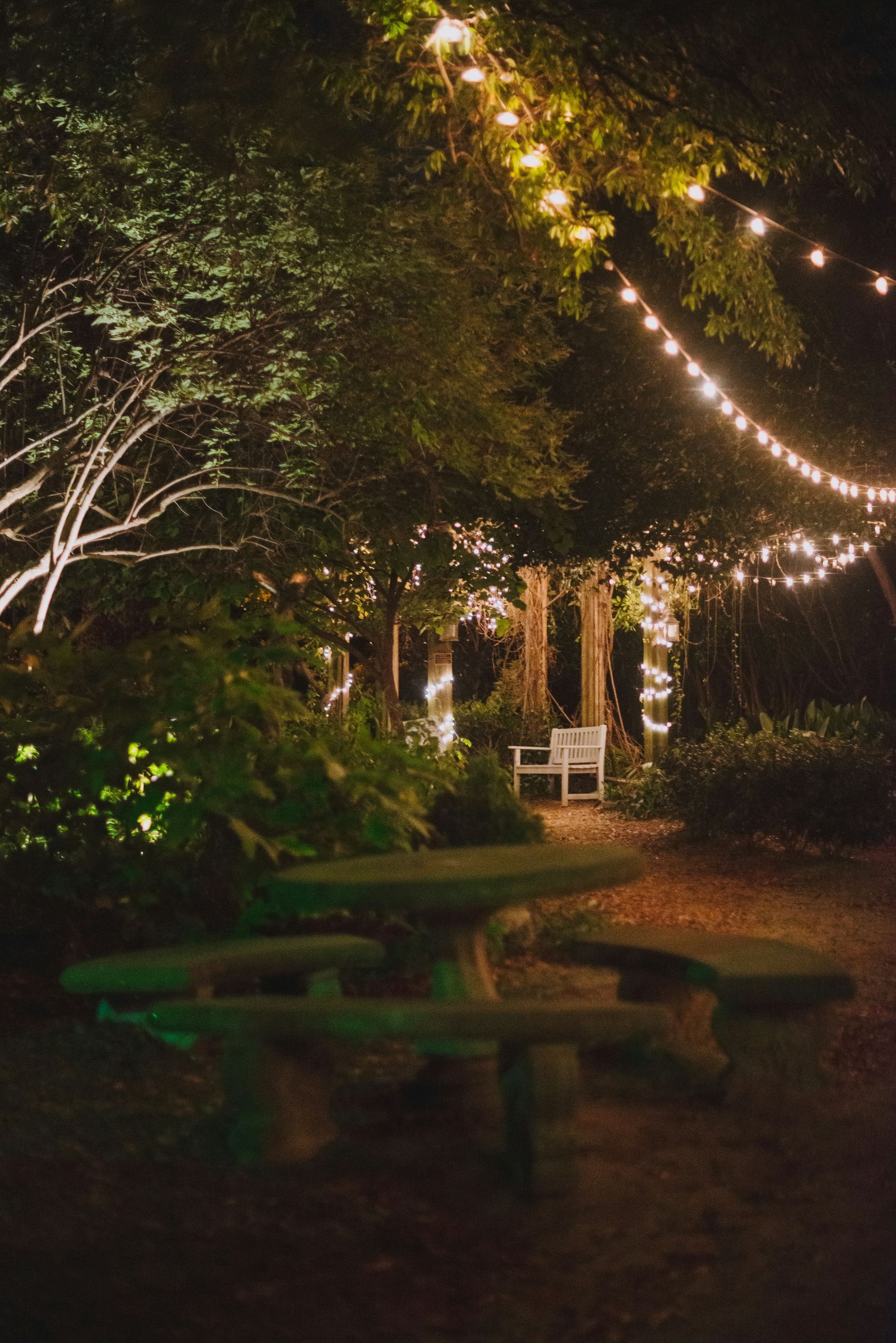 A picnic table and bench in a park at night with string lights hanging from trees.