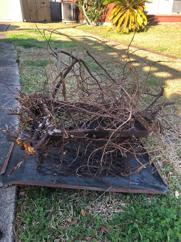 A pile of brown branches in a metal tray on grass next to a sidewalk.