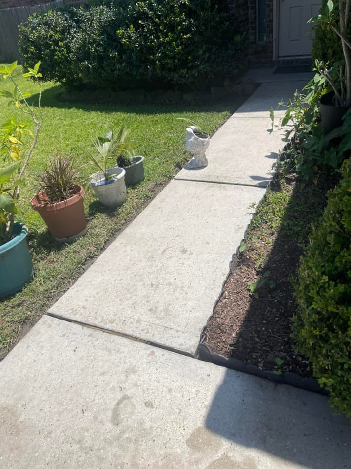 Concrete walkway lined with plants and pots in a backyard.