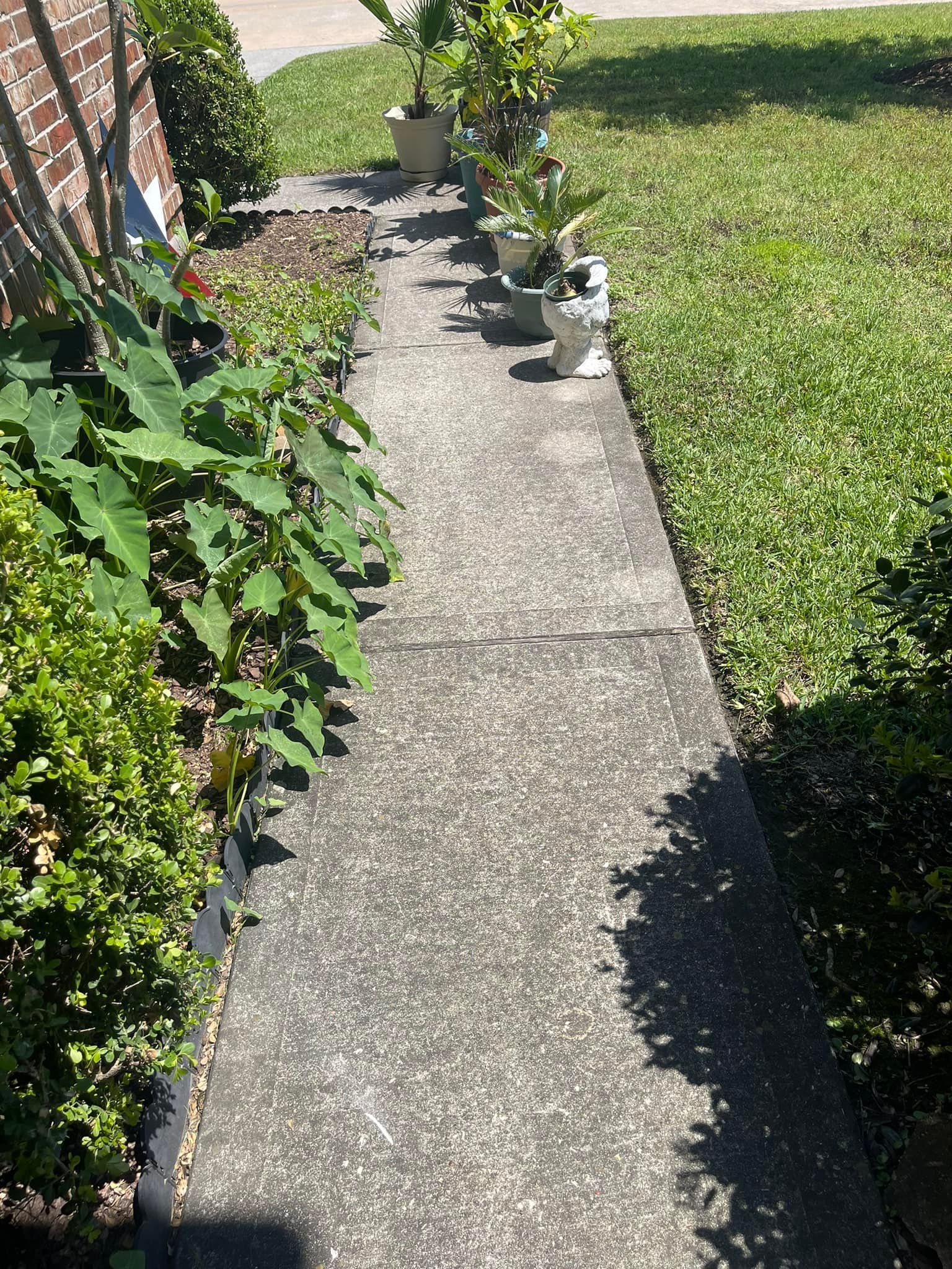 Concrete walkway bordered by plants on one side and grass on the other; pots of plants line the walkway.