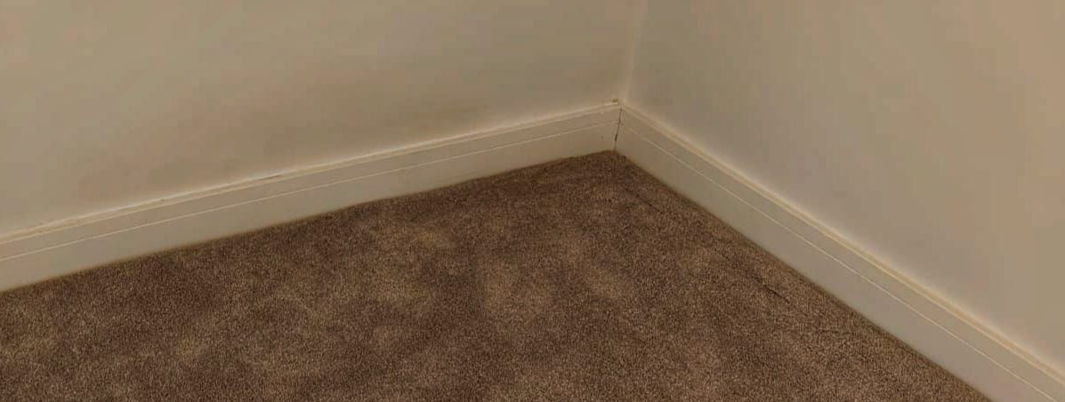 Corner of a room with beige walls, white baseboard and brown carpet.
