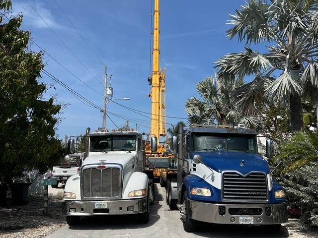 Two semi trucks beside a yellow crane on a sunny street, with palm trees in the background.