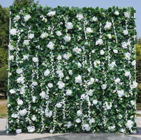 Affordable backdrop rentals in Austin TX