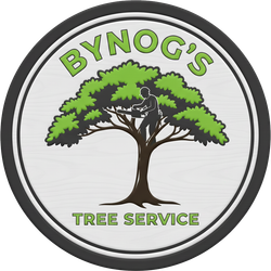 Logo for Bynog's Tree Service: depicts a silhouetted tree with a person trimming branches. Green and brown colors.