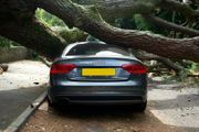 Gray Audi car parked under a large tree branch, on a road.
