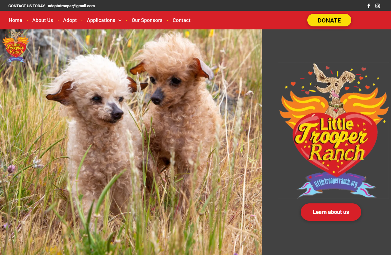 Two fluffy toy poodles in a grassy field; website logo for Little Trooper Ranch.