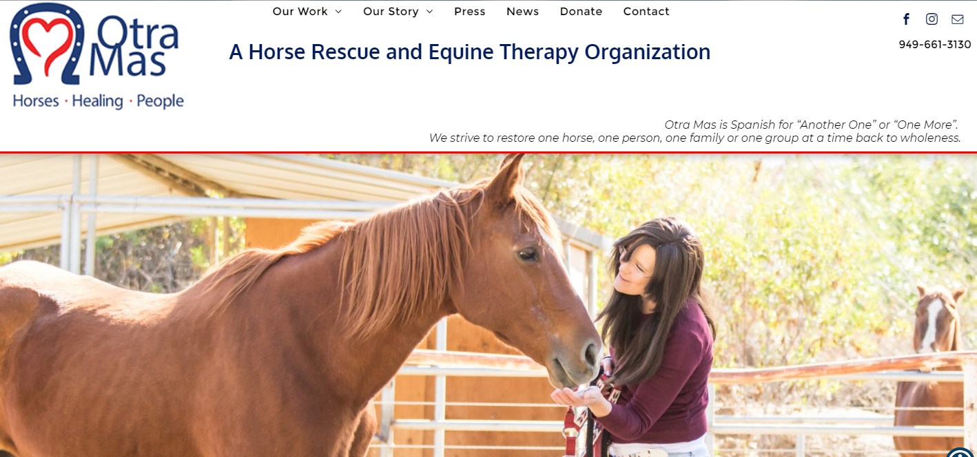 Woman interacting with a brown horse at a horse rescue and therapy organization.