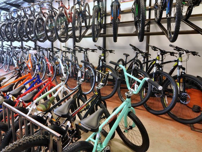A man on a bike jumping over a rock in the woods