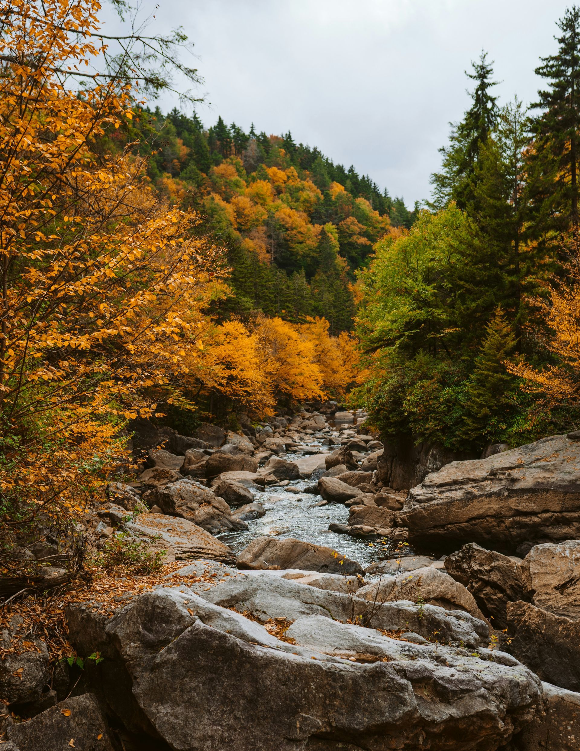 A fireworks display with a dome in the background