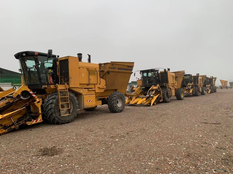 Una fila di trattori gialli sono parcheggiati in un campo sterrato.