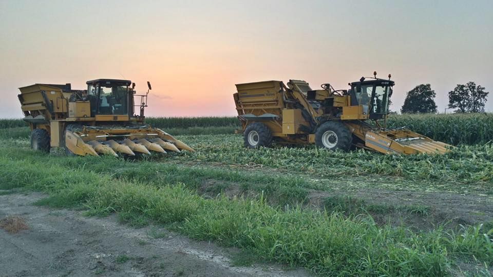 Due trattori lavorano in un campo al tramonto.