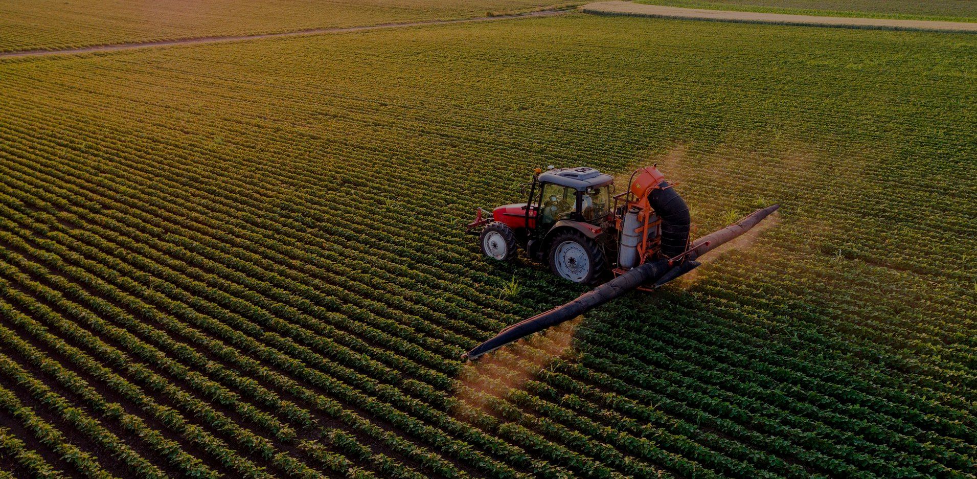 Una vista aerea di un trattore che irrora un campo di piante.