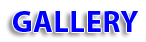The word gallery is written in blue letters on a white background.