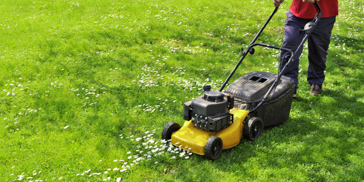 Chattanooga-friendly prevention checklist (simple habits that work)