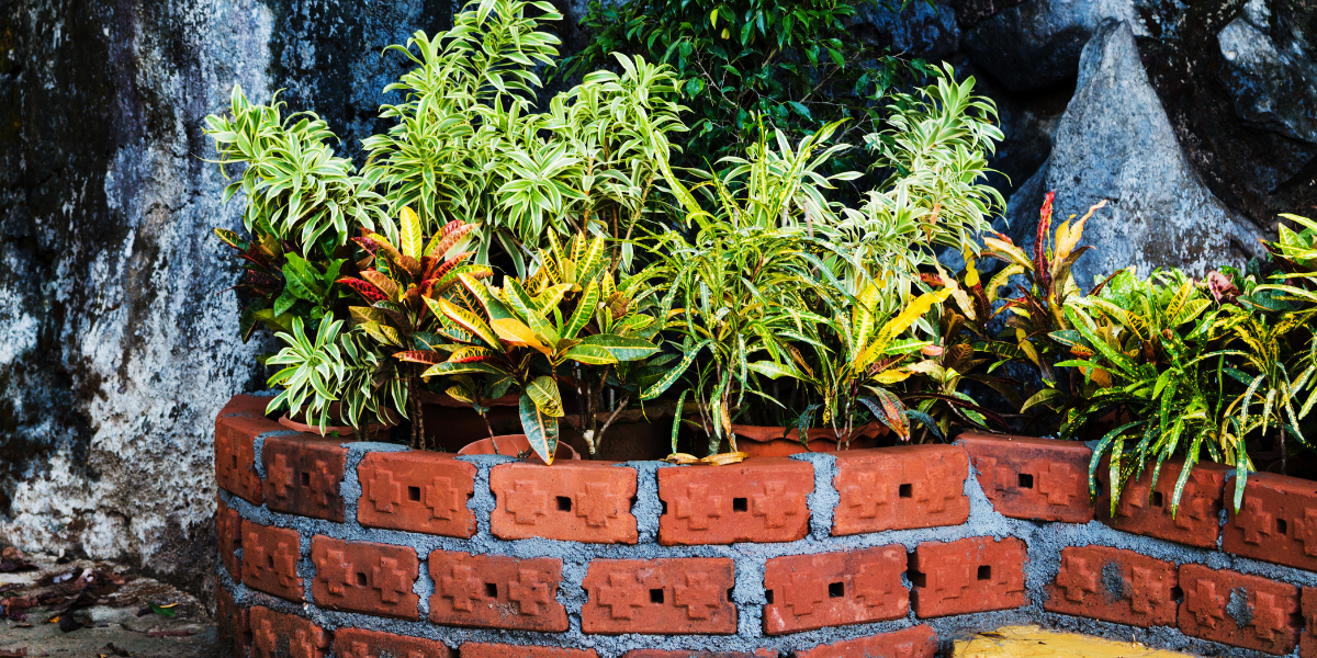 Early Signs of Tree & Shrub Stress You Shouldn’t Overlook
