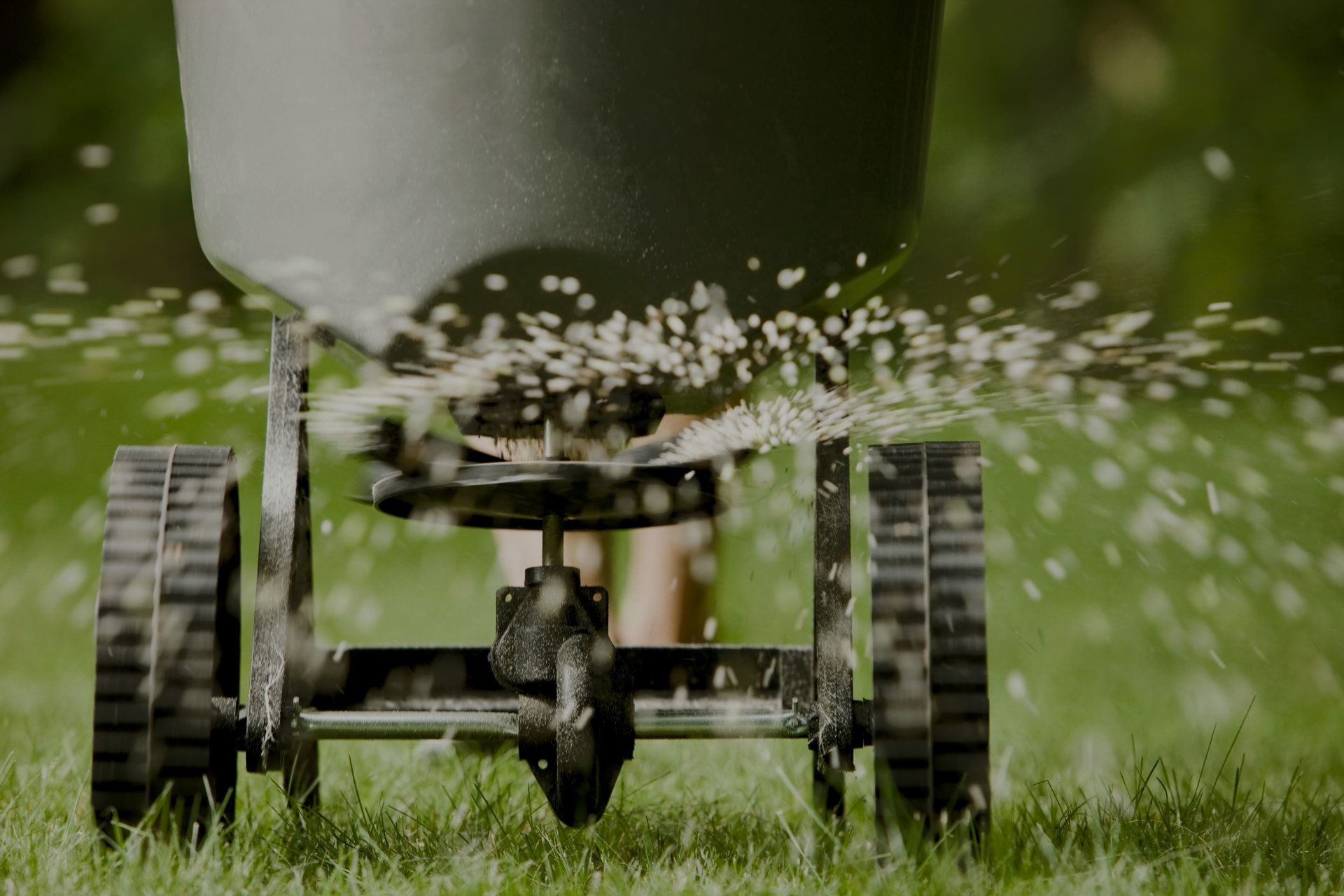 lawn aeration