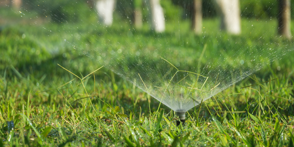 How Gro Green Can Help for Irrigation Mistakes