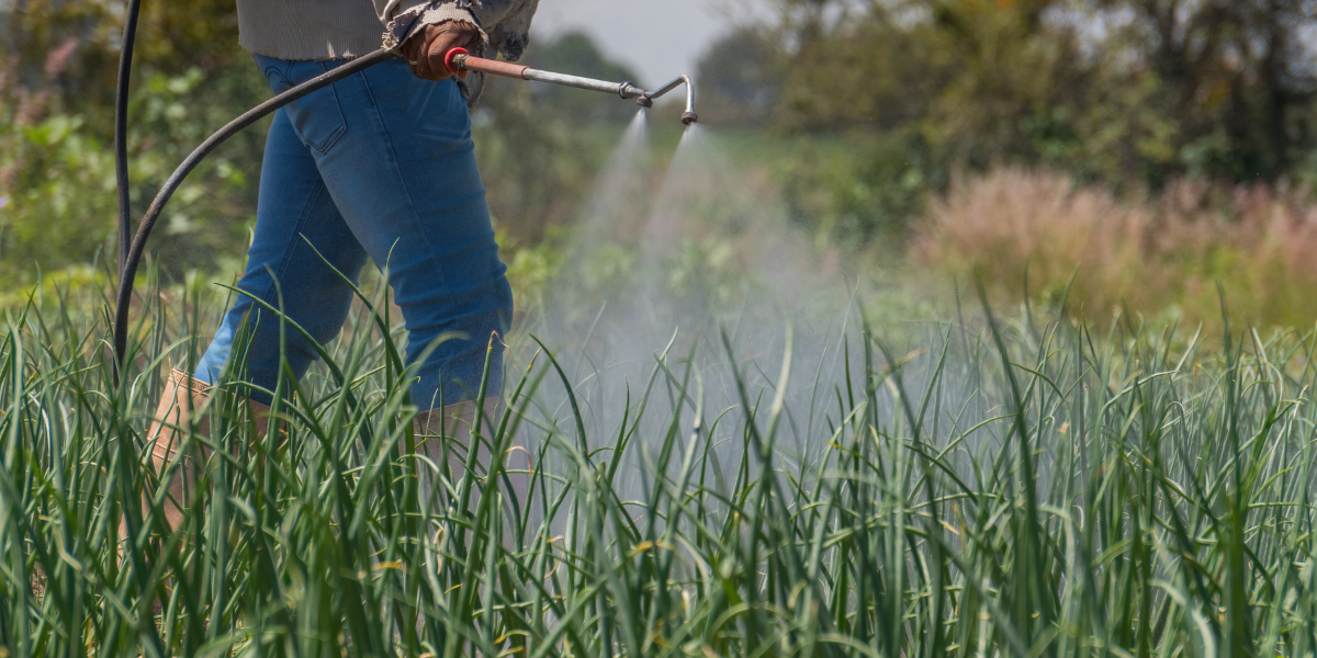 How to choose: 6 questions that make the decision easy
