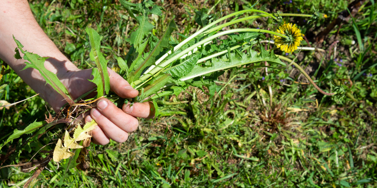 How to choose: 6 questions that make the decision easy
