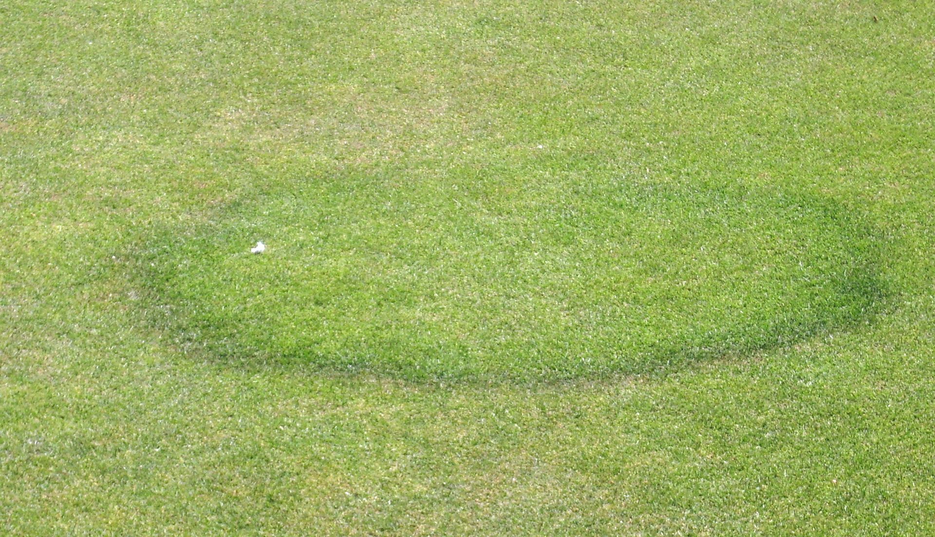 A circle in the middle of a lush green field of grass.