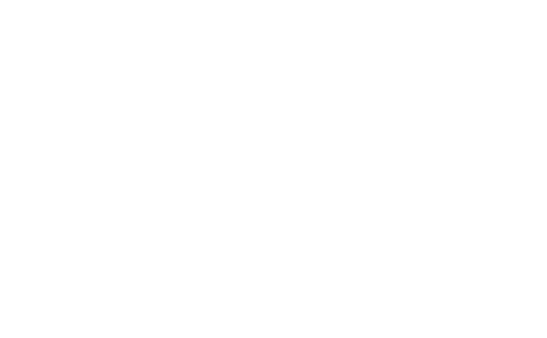Dillon Images Photography Logo