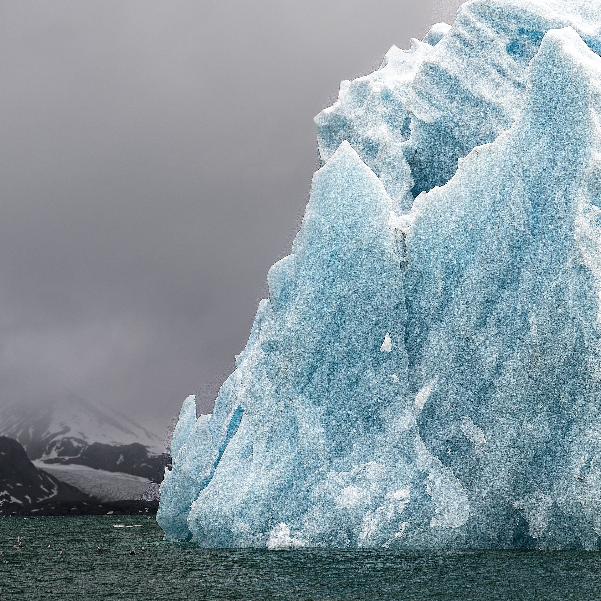 Massive Iceberg Floating in the Sea