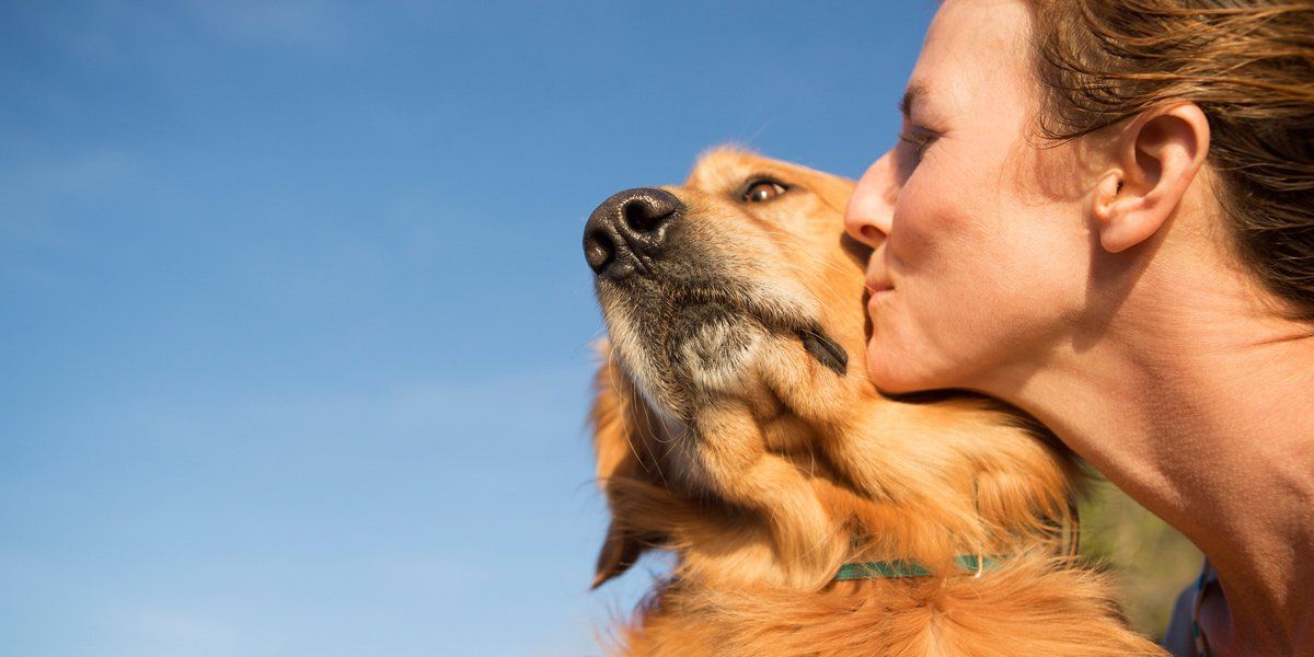 woman kissing a dog