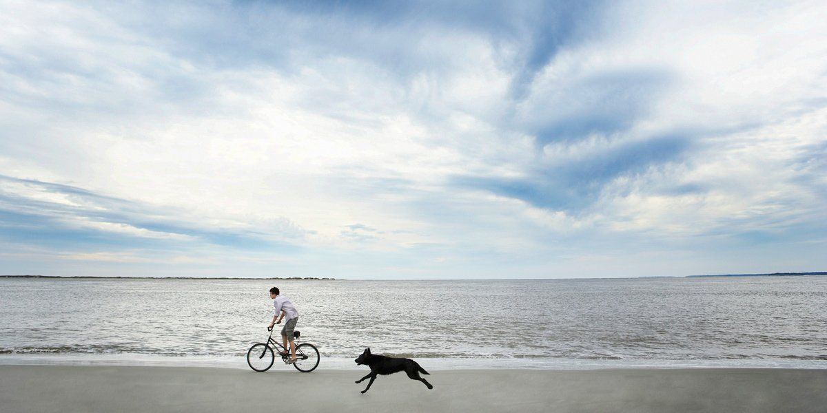 man on beach with dog