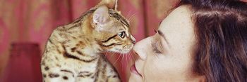 woman and pet cat touching noses