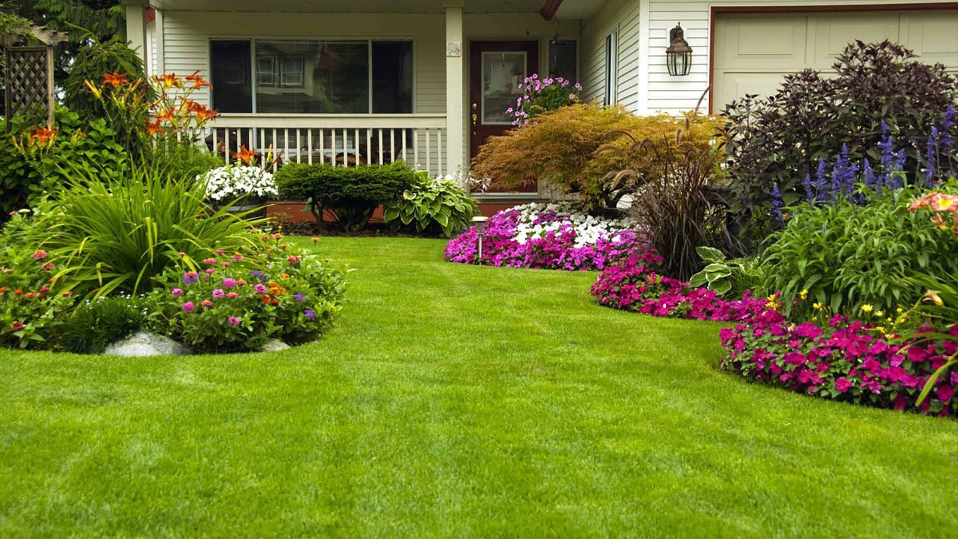 Lush green lawn with colorful flower beds edging the front of a house.