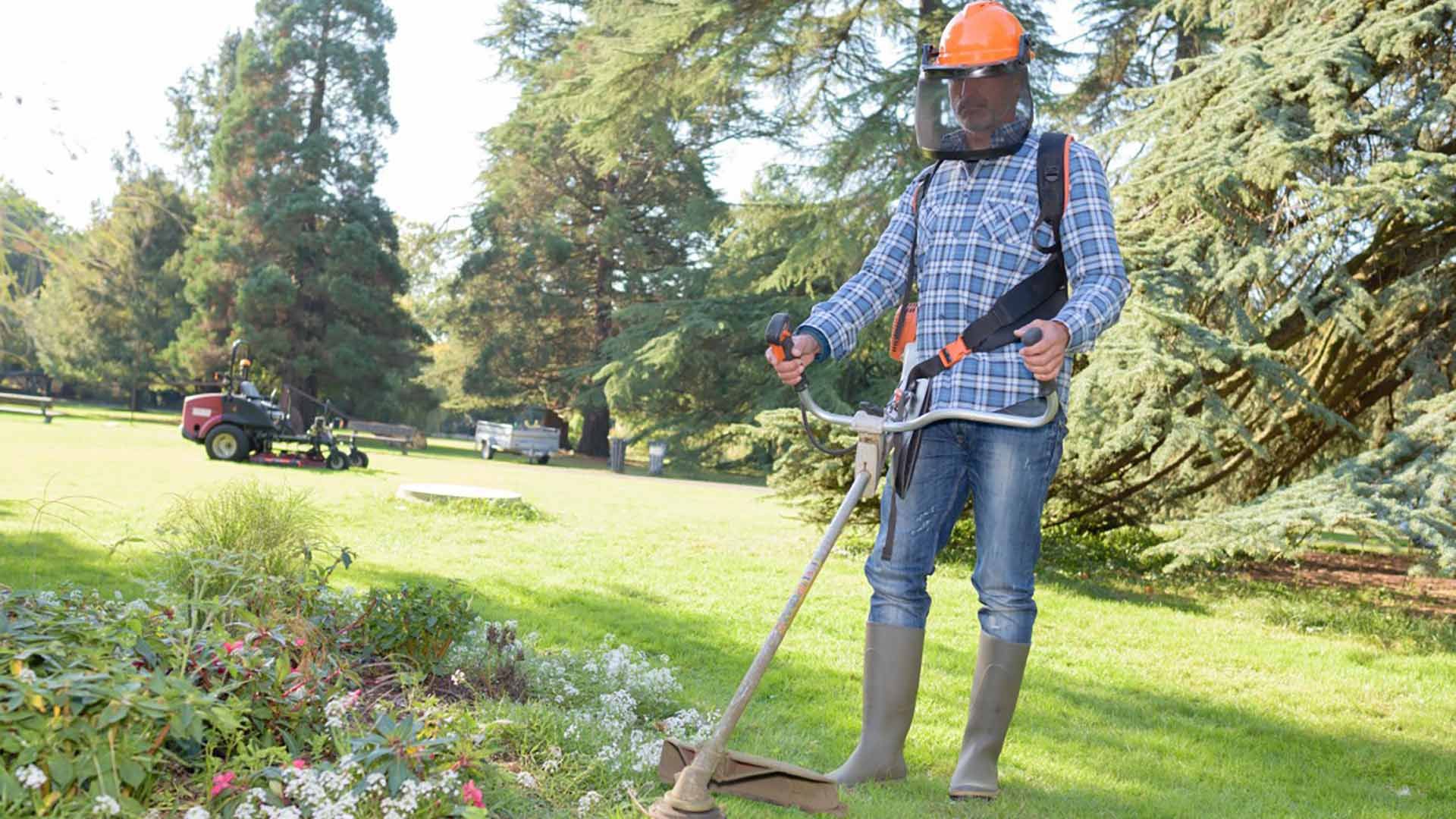 Person wearing safety gear, using a weed wacker in a sunny green yard with trees.