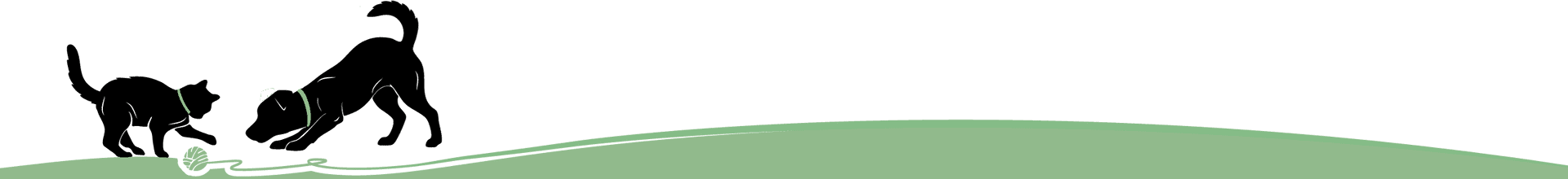 Silhouette of a cat and a dog playing together on a green strip.