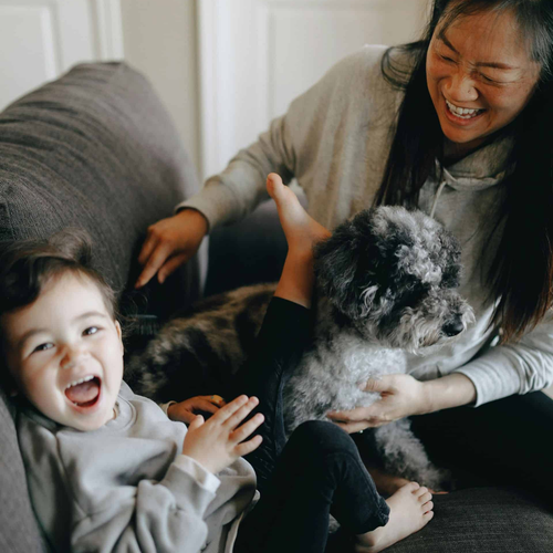 Woman and child laughing, playing with a small dog on a gray couch.