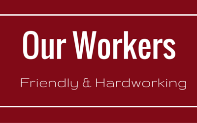 our workers friendly & hardworking