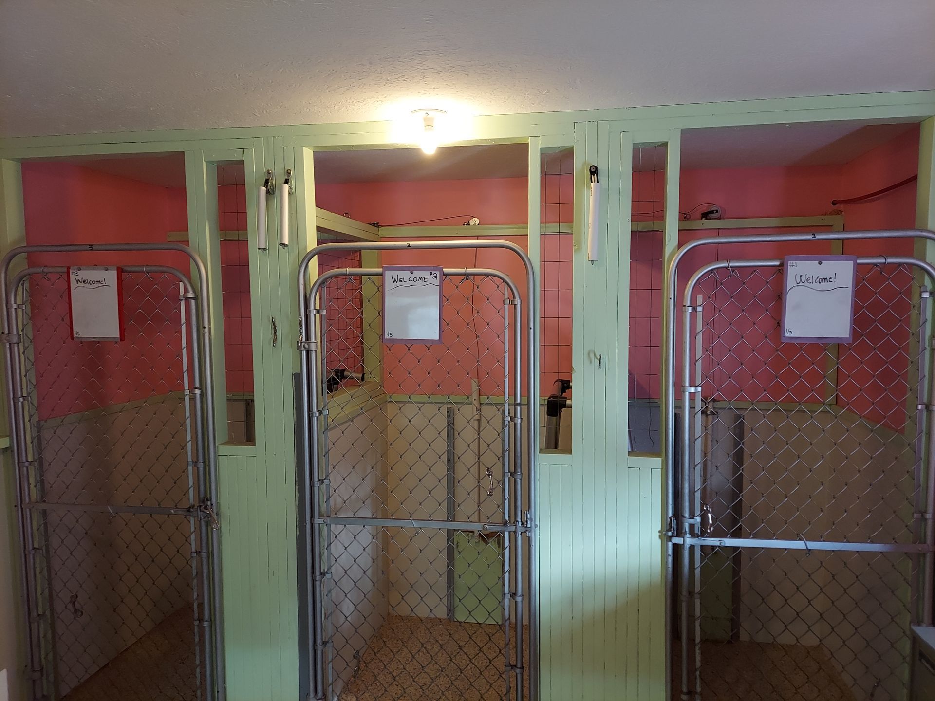 A room with three fenced in kennels with pink walls.