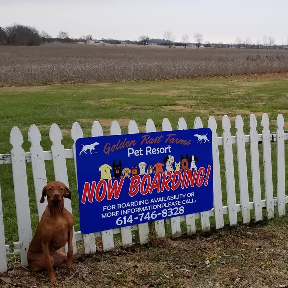 A dog sitting next to a sign that says now boarding