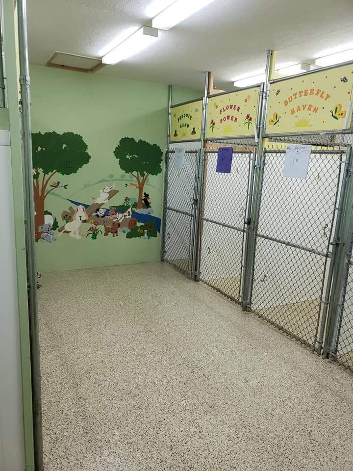 A room with a chain link fence and a painting on the wall that says butterfly saved