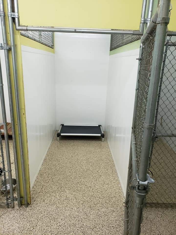 A dog kennel with a treadmill in the middle of it.