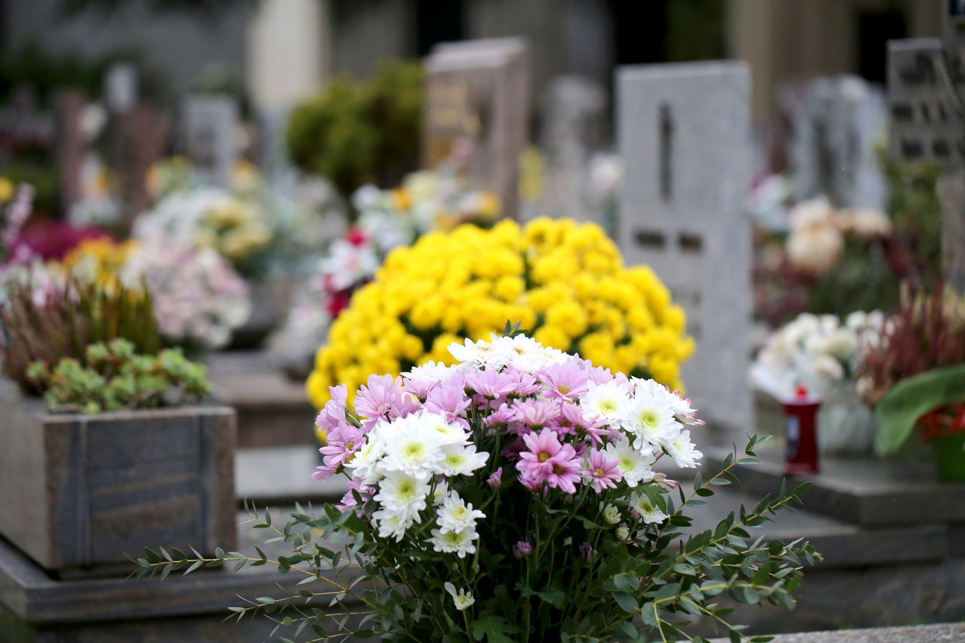 Fiori sulle lapidi di un cimitero