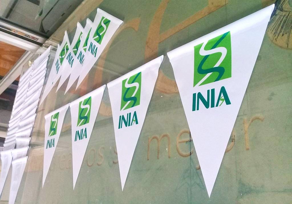 banderin triangular guirnalda